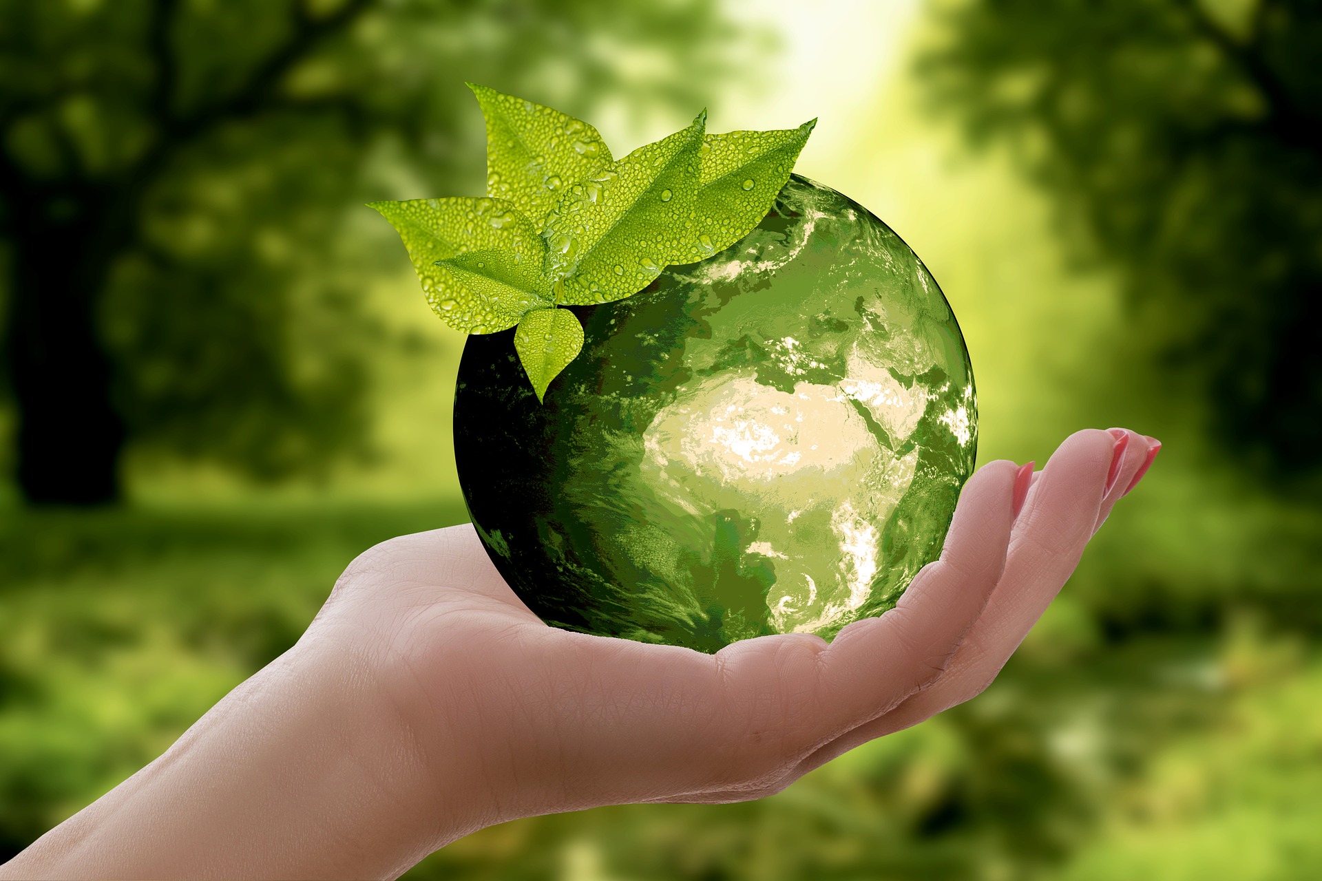 Benefits of Your Company Going Green